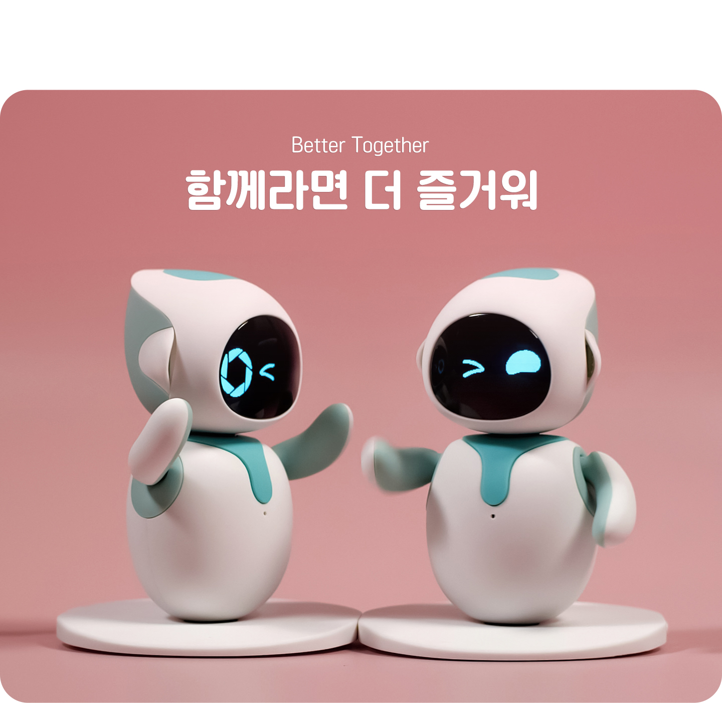 상세 이미지 11