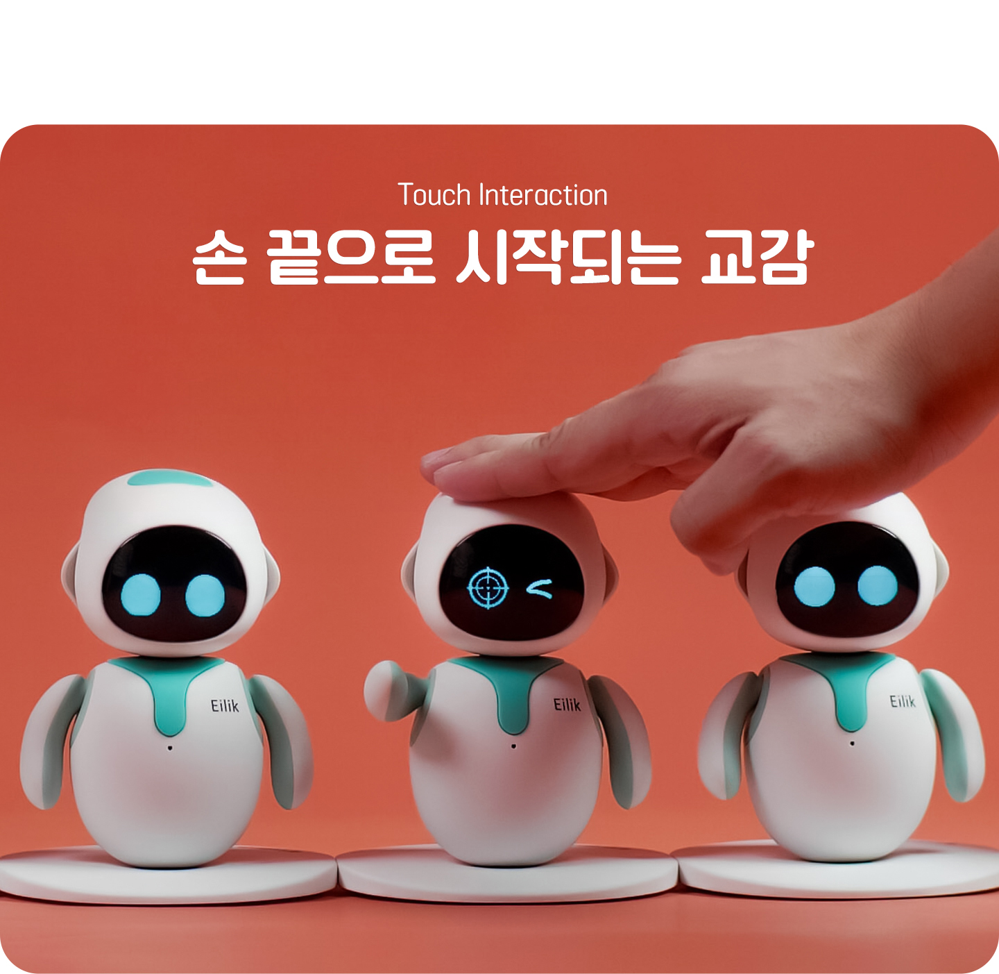 상세 이미지 5